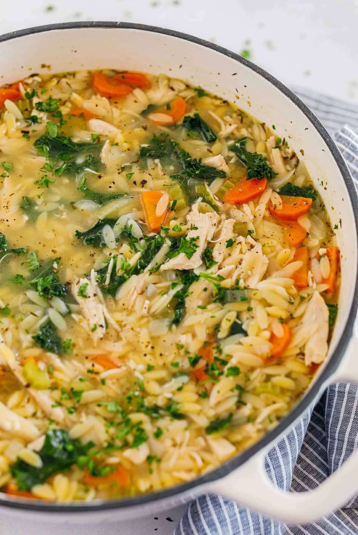Easy and delicious Lemon Chicken Orzo Soup loaded with tender chicken, fresh veggies, and leafy greens all simmered in the most flavorful broth! Easily made in one pot for a cozy weeknight dinner the whole family will love!